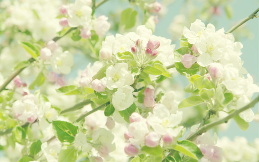 508293 (a): :2560x1600